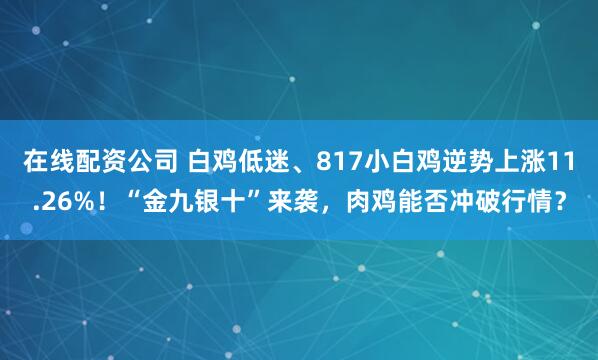 在线配资公司 白鸡低迷、817小白鸡逆势上涨11.26%！“金九银十”来袭，肉鸡能否冲破行情？